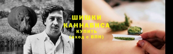 прущая мука Богородицк